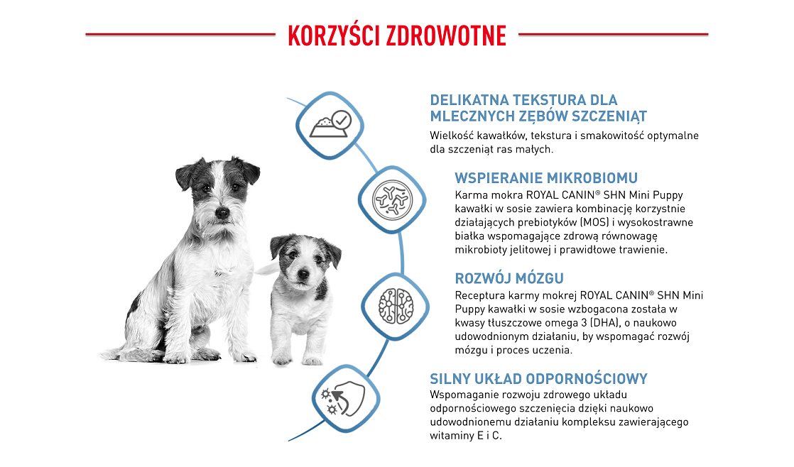 ROYAL CANIN Mini puppy 12x85 g 